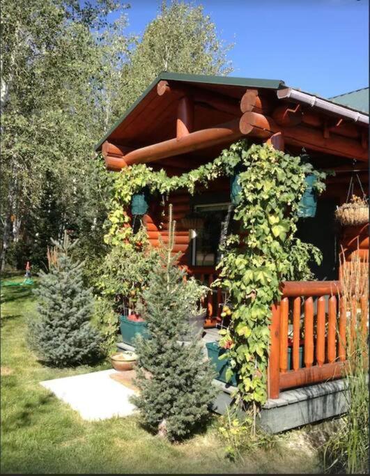 Lazy Fox Cabin West Yellowstone Exterior foto